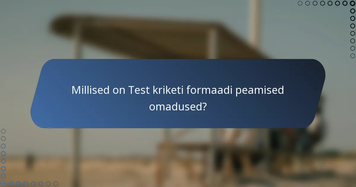 Millised on Test kriketi formaadi peamised omadused?
