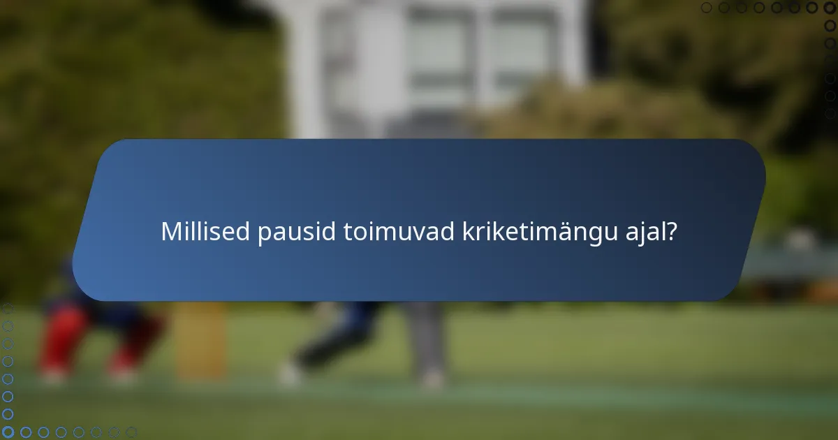 Millised pausid toimuvad kriketimängu ajal?