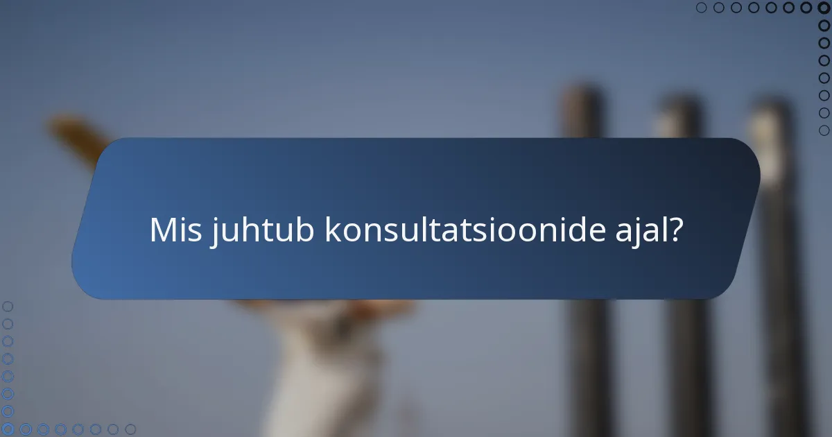 Mis juhtub konsultatsioonide ajal?
